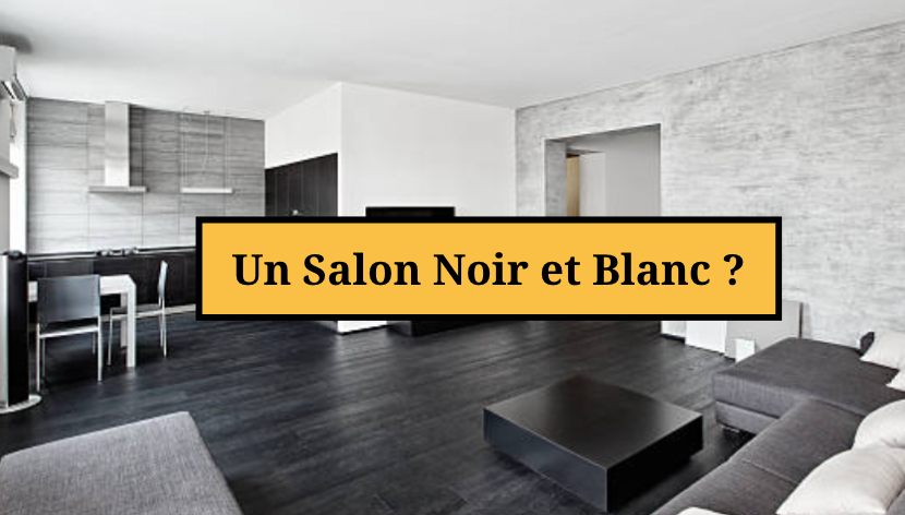 Comment Décorer un Salon en Noir et Blanc ?