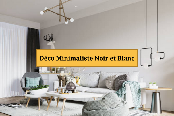 Astuces Déco Minimaliste Noir et Blanc